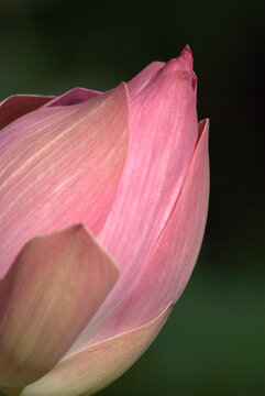 六合彩品牌形象